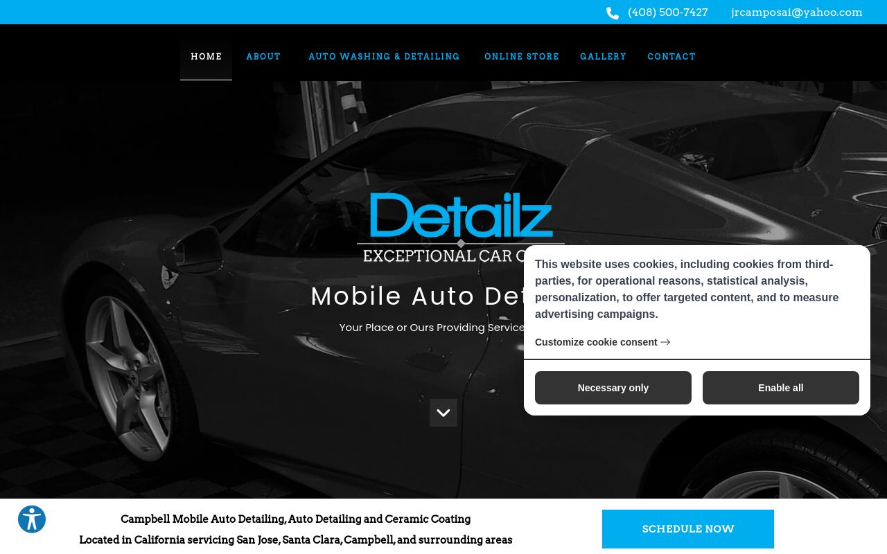 Homepage of Detailz Car Care's website