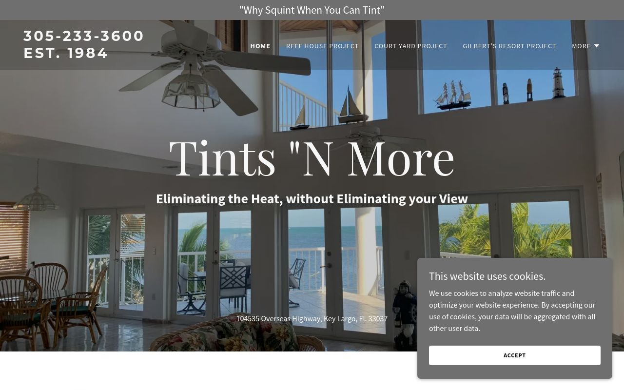 Homepage of Tints "N" More's website