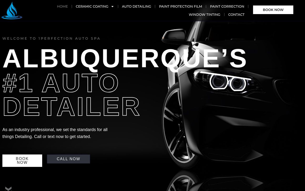 Homepage of 1PerfectionAutoSpa's website