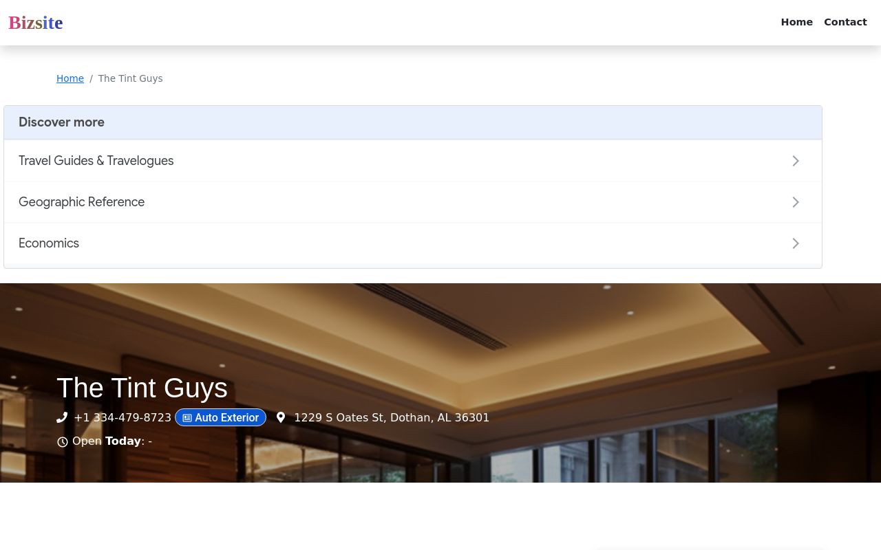 Homepage of The Tint Guys's website