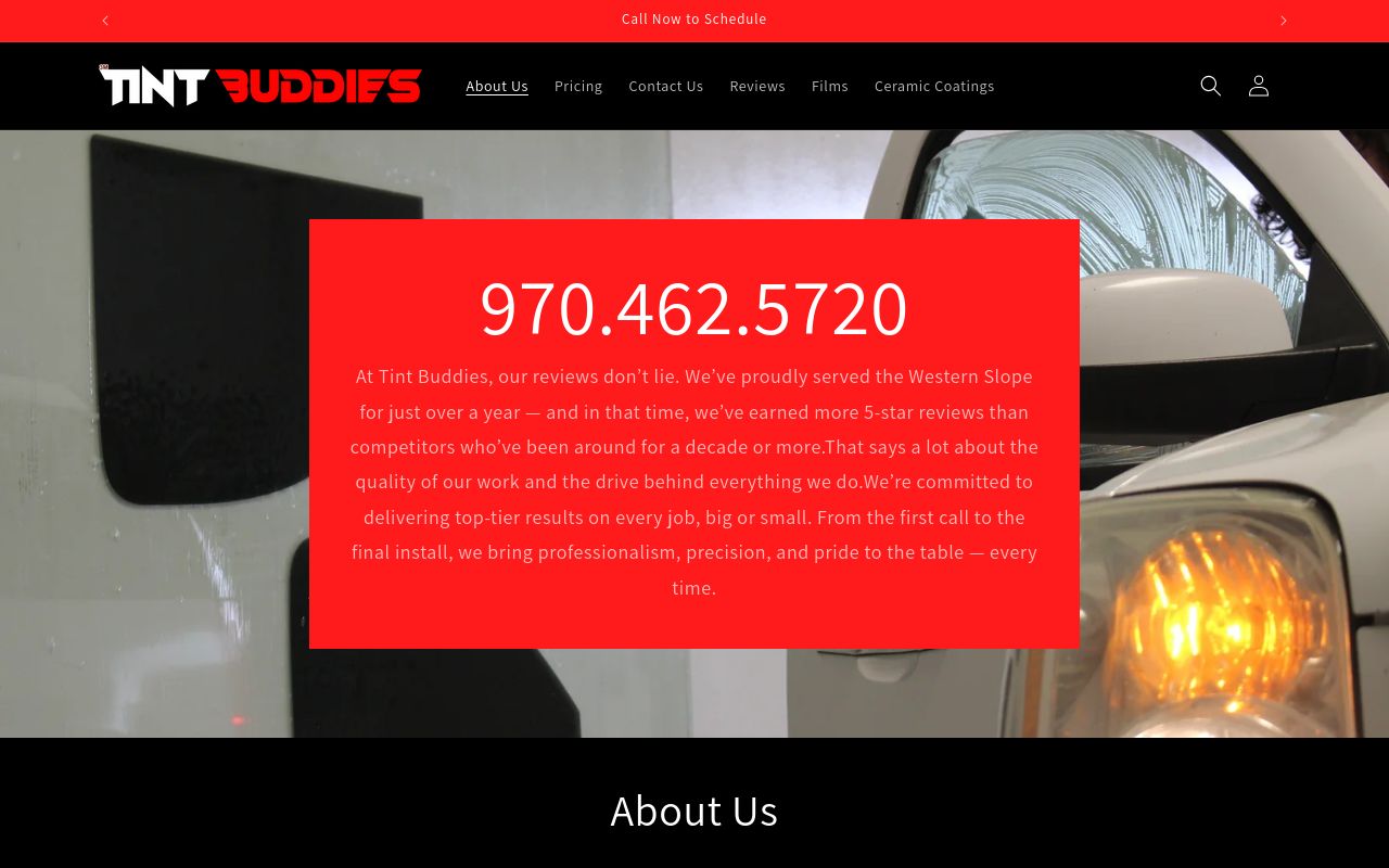 Homepage of Tint Buddies's website