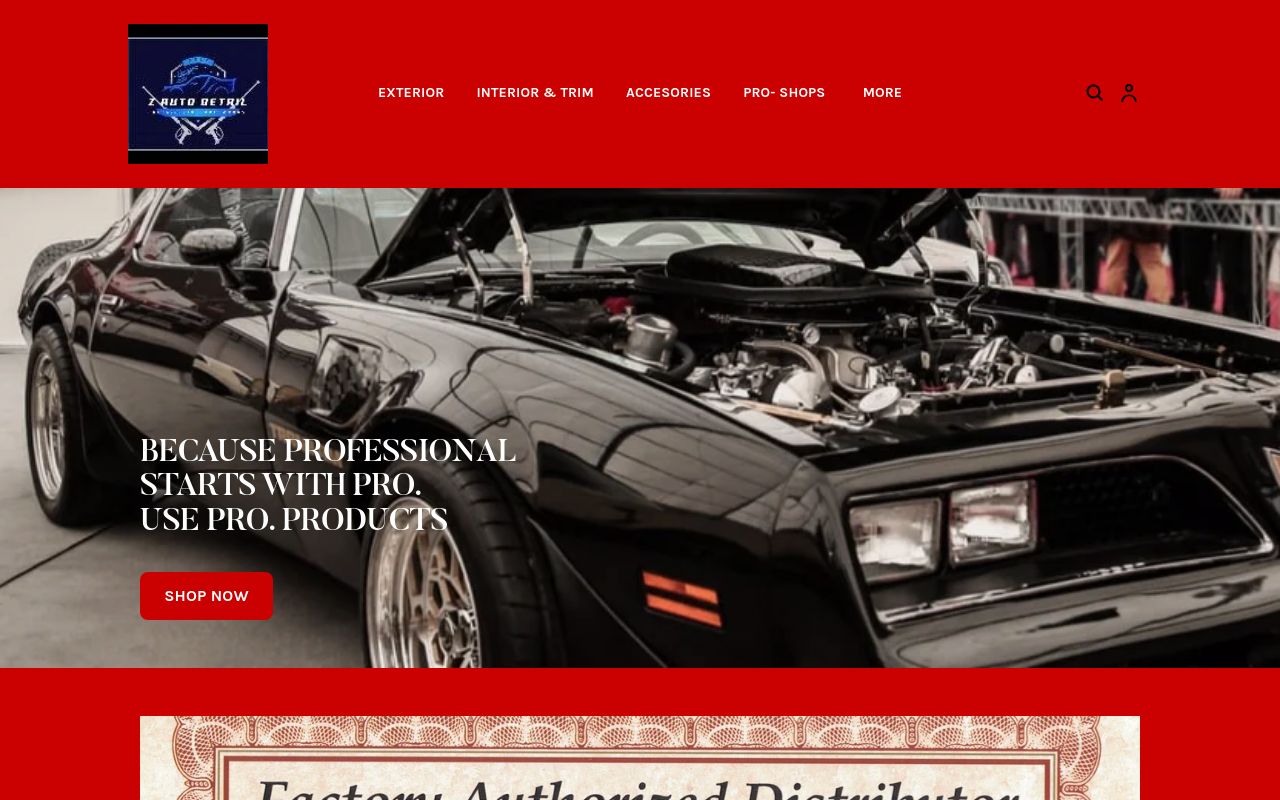 Homepage of Z AUTO DETAIL's website