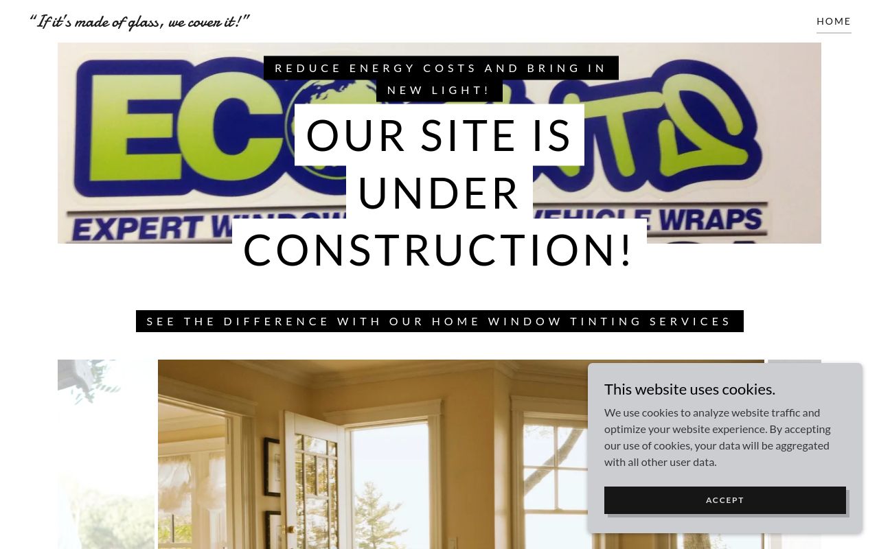 Homepage of Eco-Tints Expert Window Tinting's website