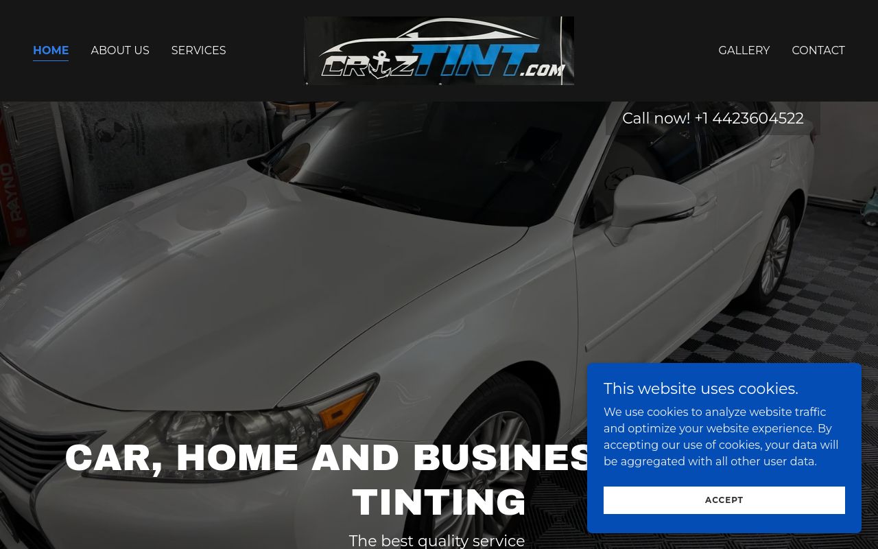 Homepage of CRUZTINT DHS's website