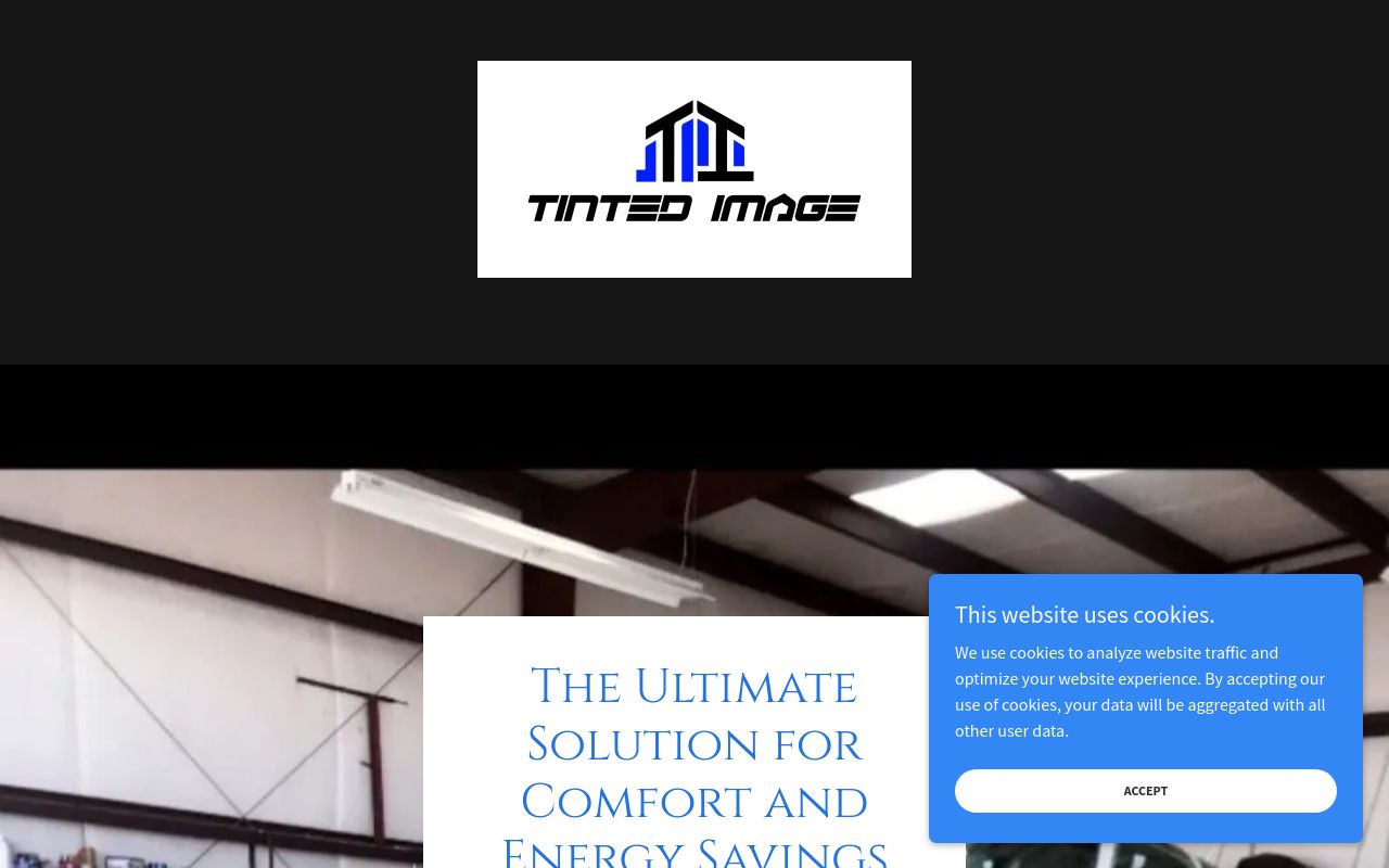 Homepage of Tinted Image's website