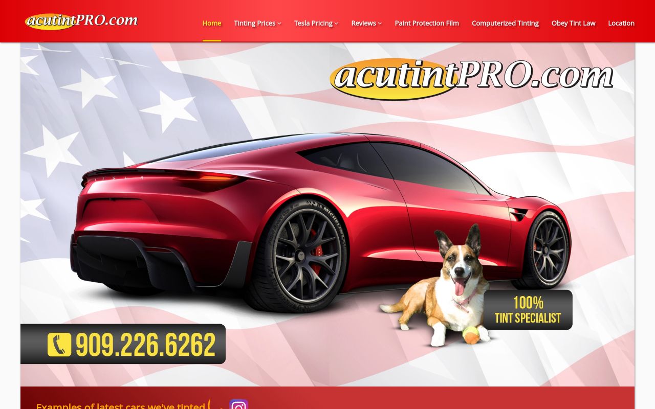 Homepage of AcutintPro's website
