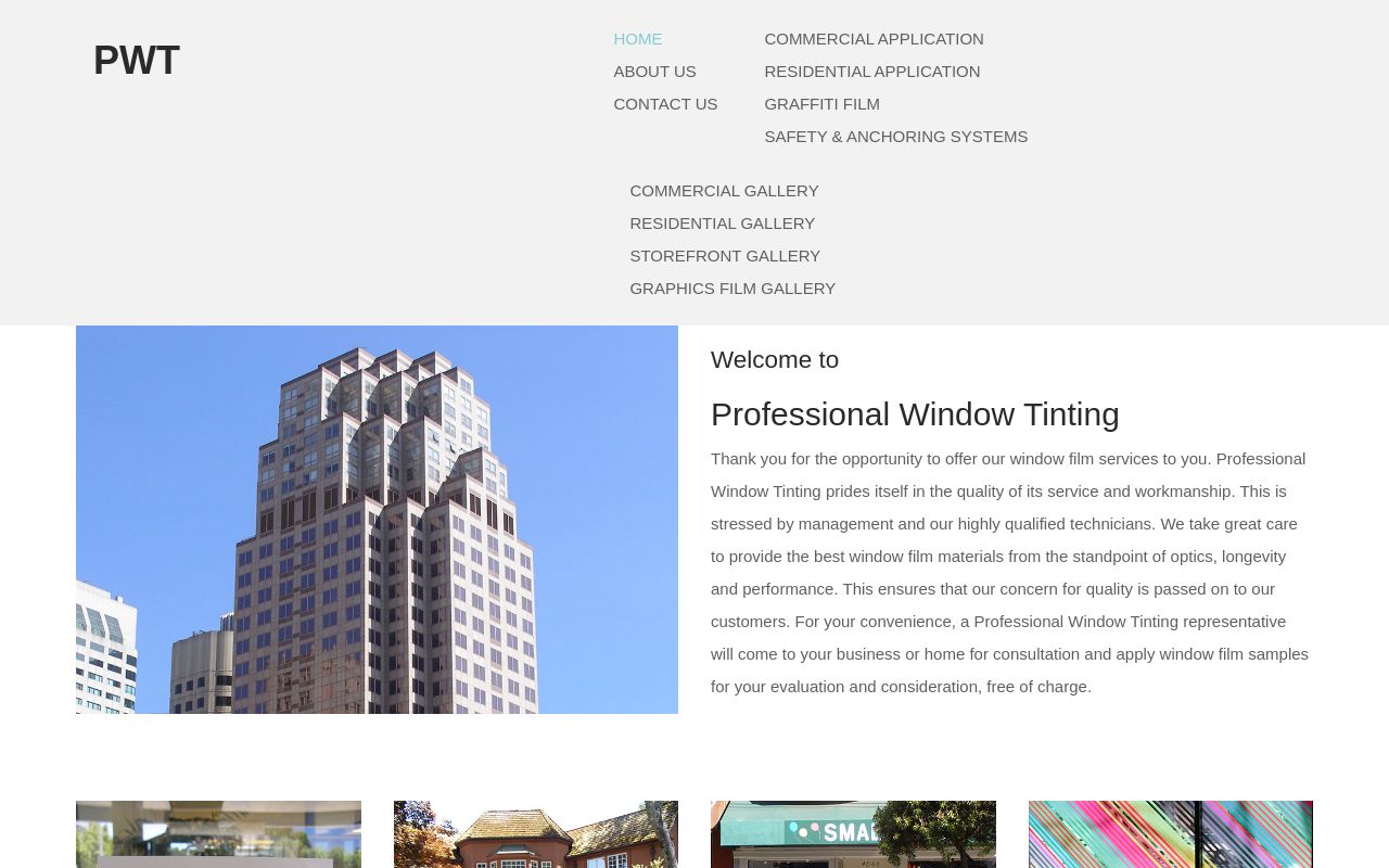 Homepage of Professional Window Tinting's website
