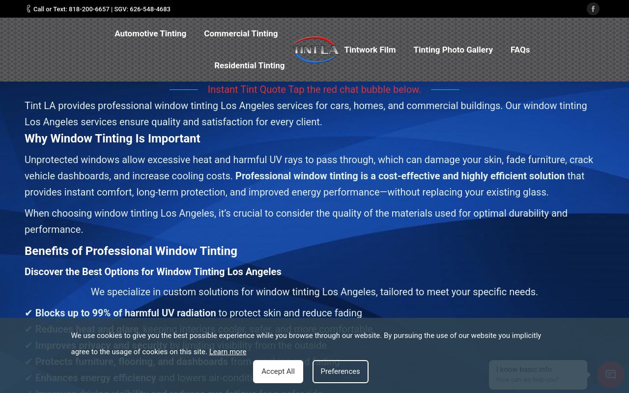 Homepage of Tint LA - Mobile Window Tinting Services's website