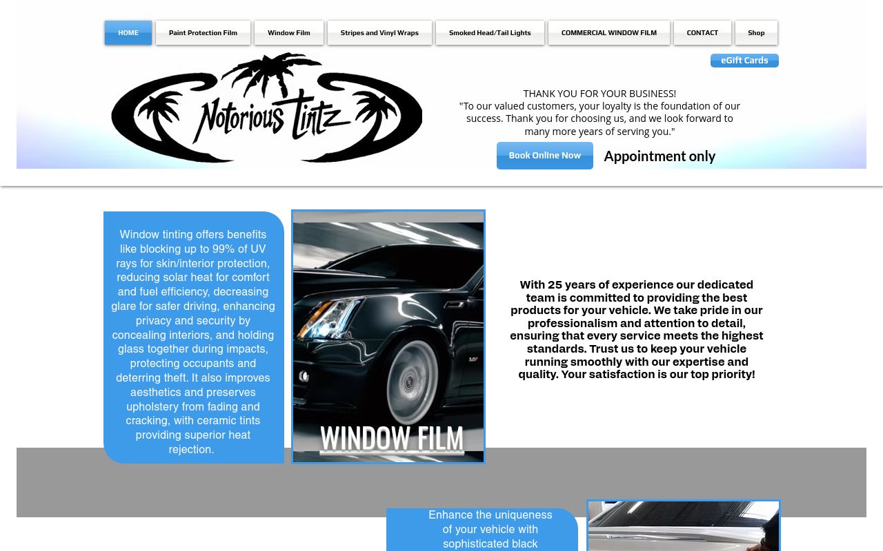 Homepage of Notorious Tintz's website