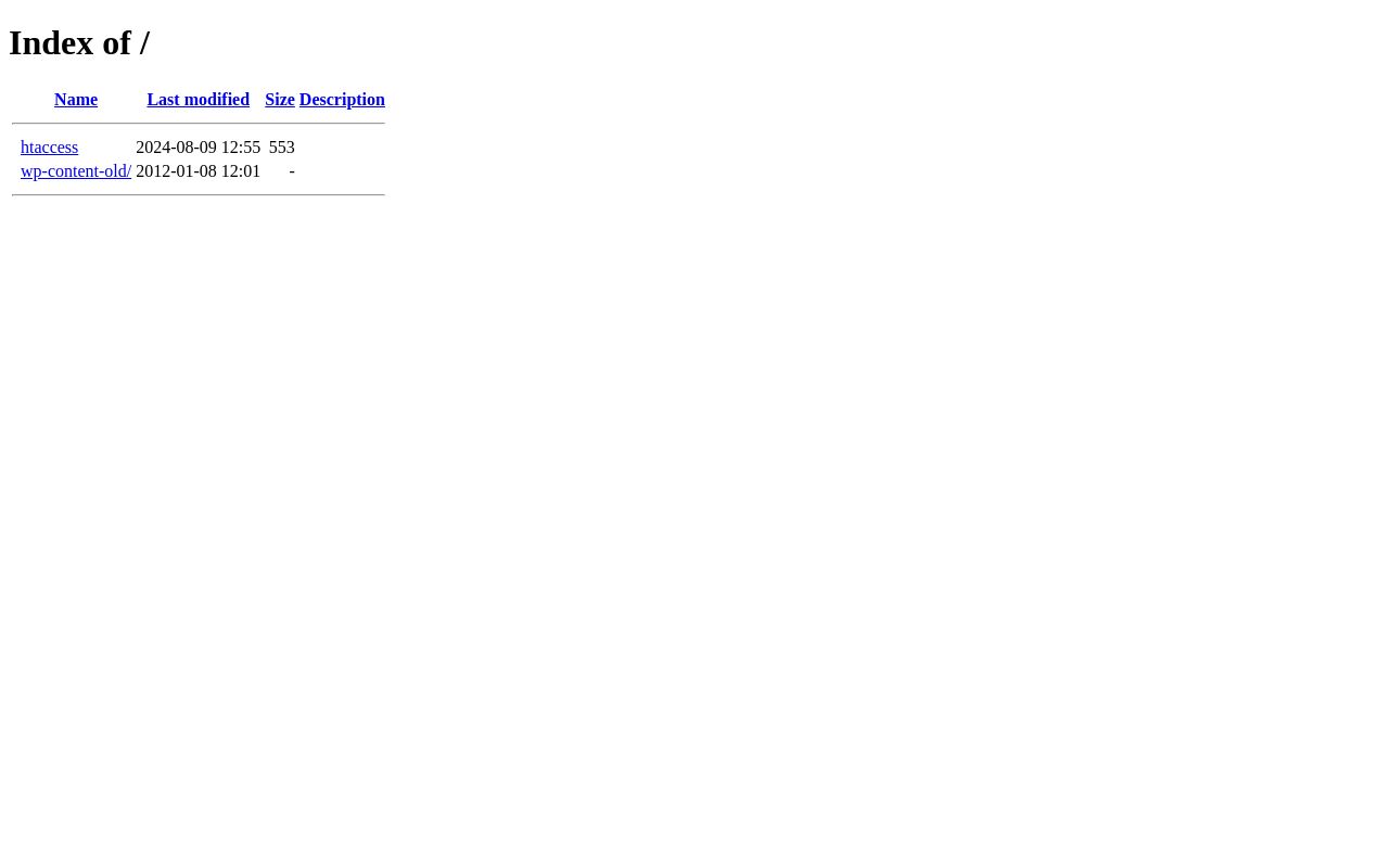 Homepage of Bikini Tint Window Tinting's website