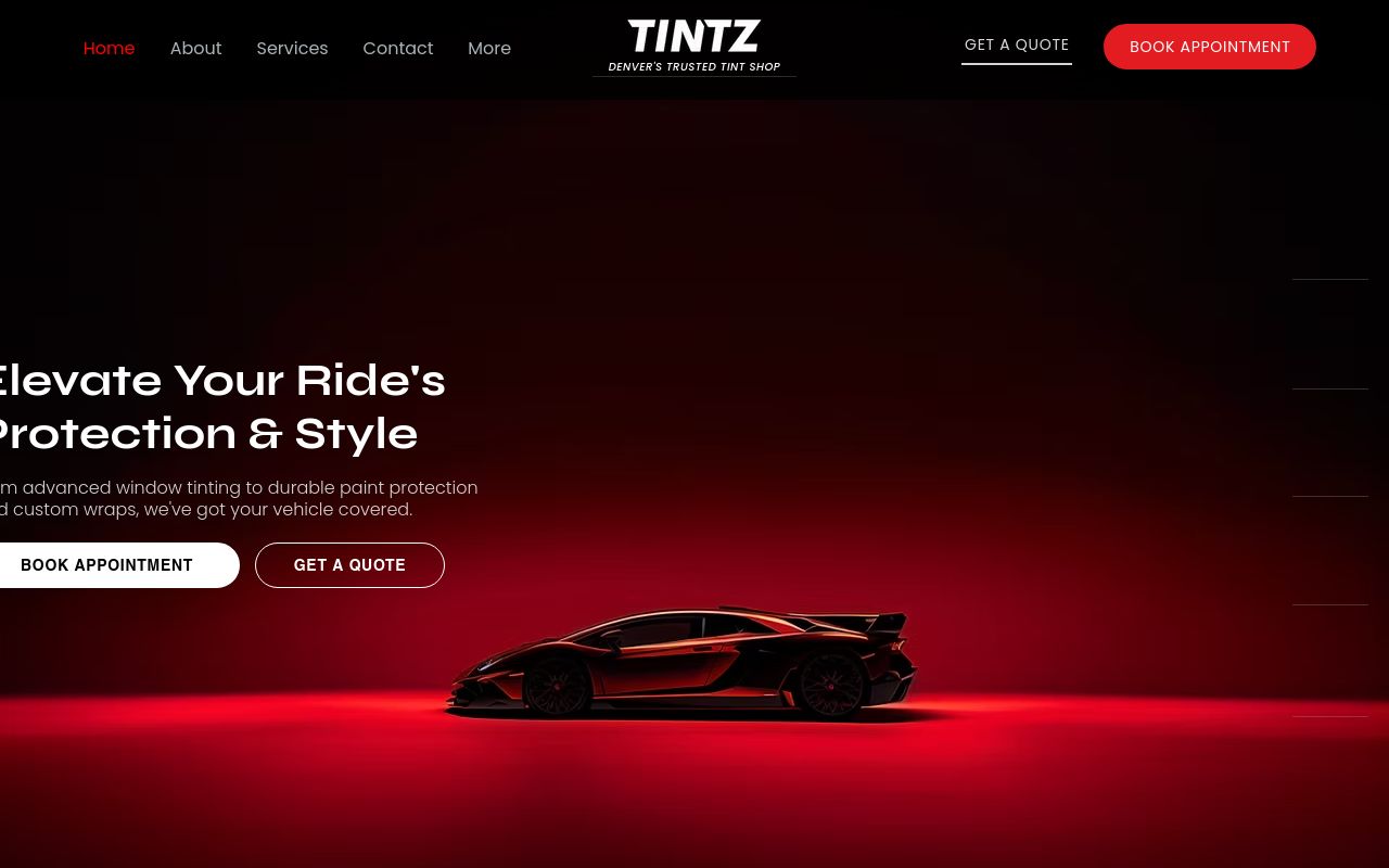 Homepage of TINTZ - Boulder Co's website