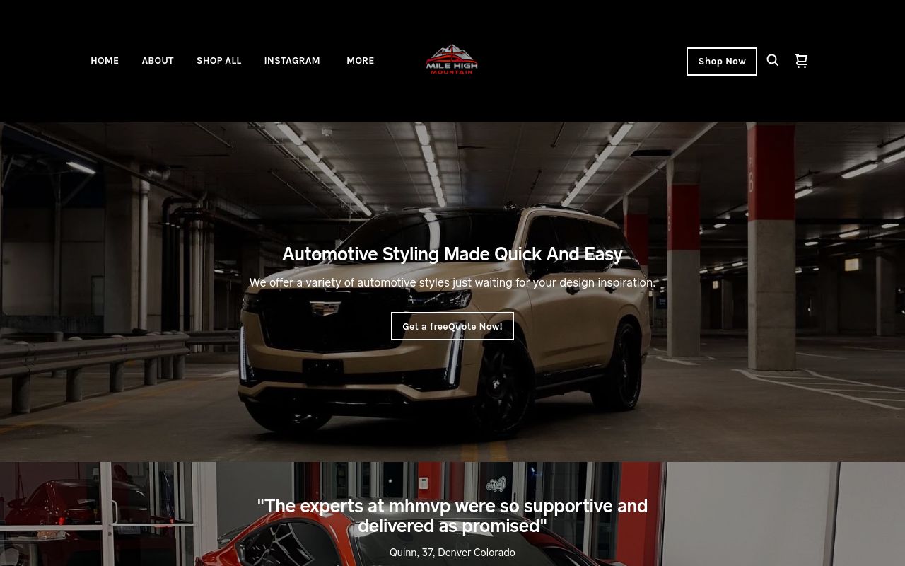 Homepage of Mile High Mountain Vinyl Plus's website