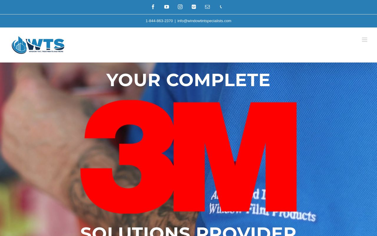 Homepage of Window Tint Specialists's website