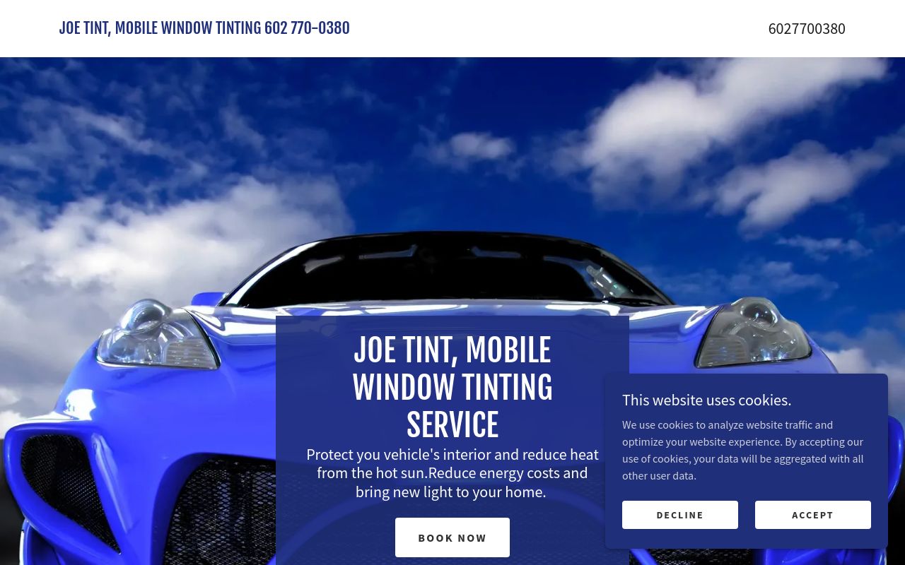 Homepage of Joe Tint's website