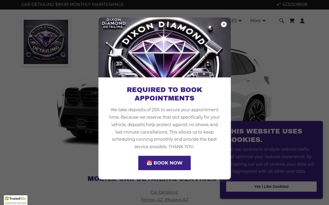 Homepage of Dixon Diamond Detailing LLC's website