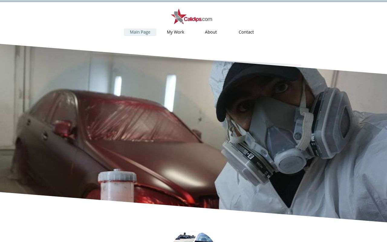 Homepage of CALIDIPS's website
