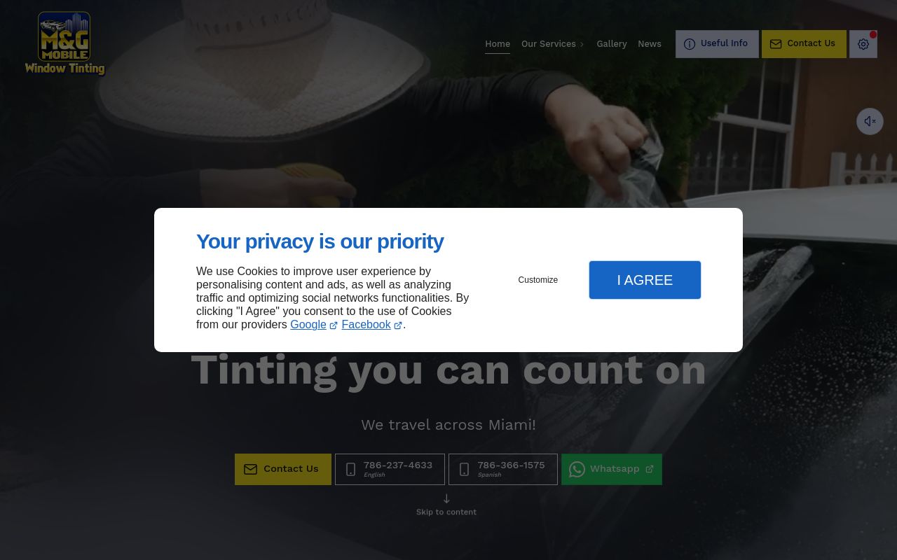 Homepage of M&G Window Tinting Mobile's website