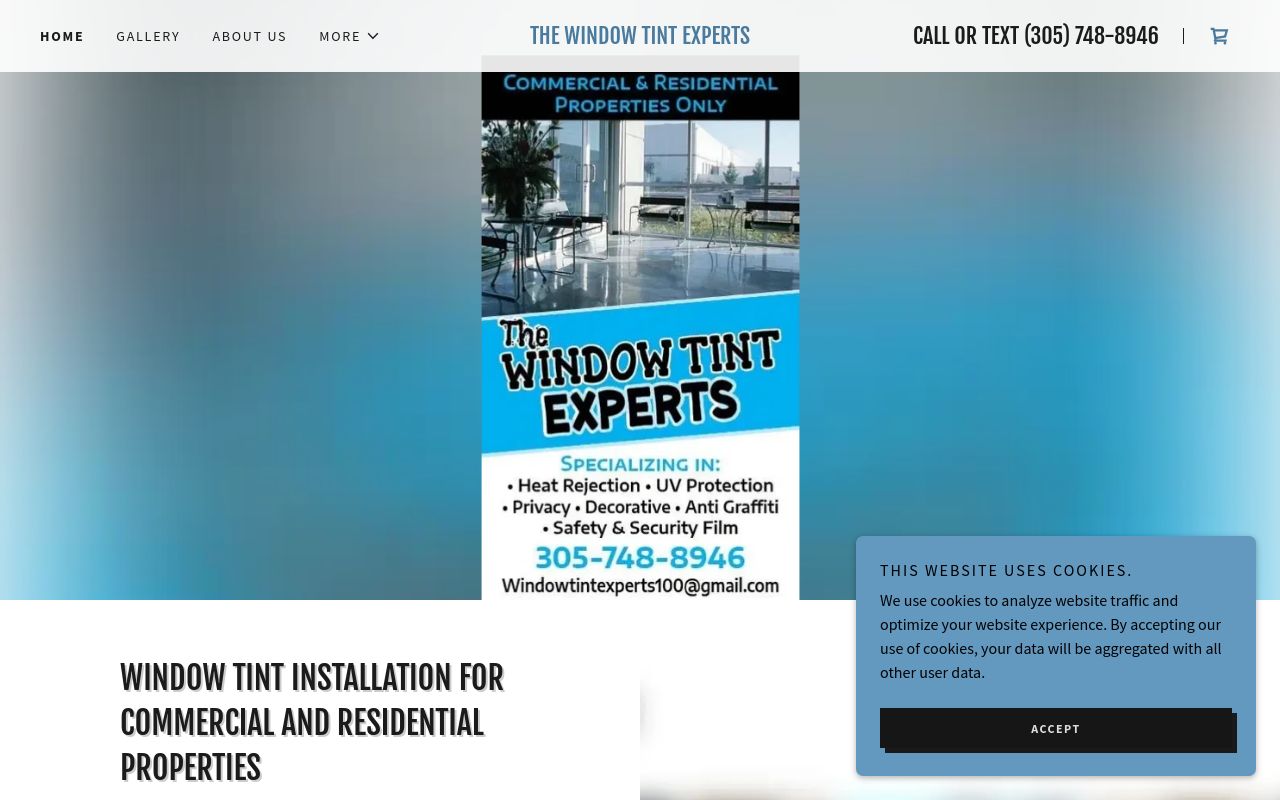 Homepage of The Window Tint Experts's website