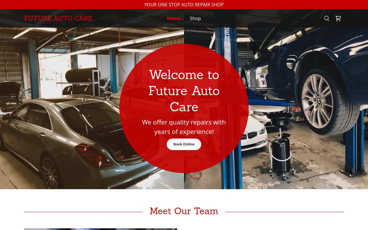 Homepage of Future Auto Spa - Porter Ranch's website