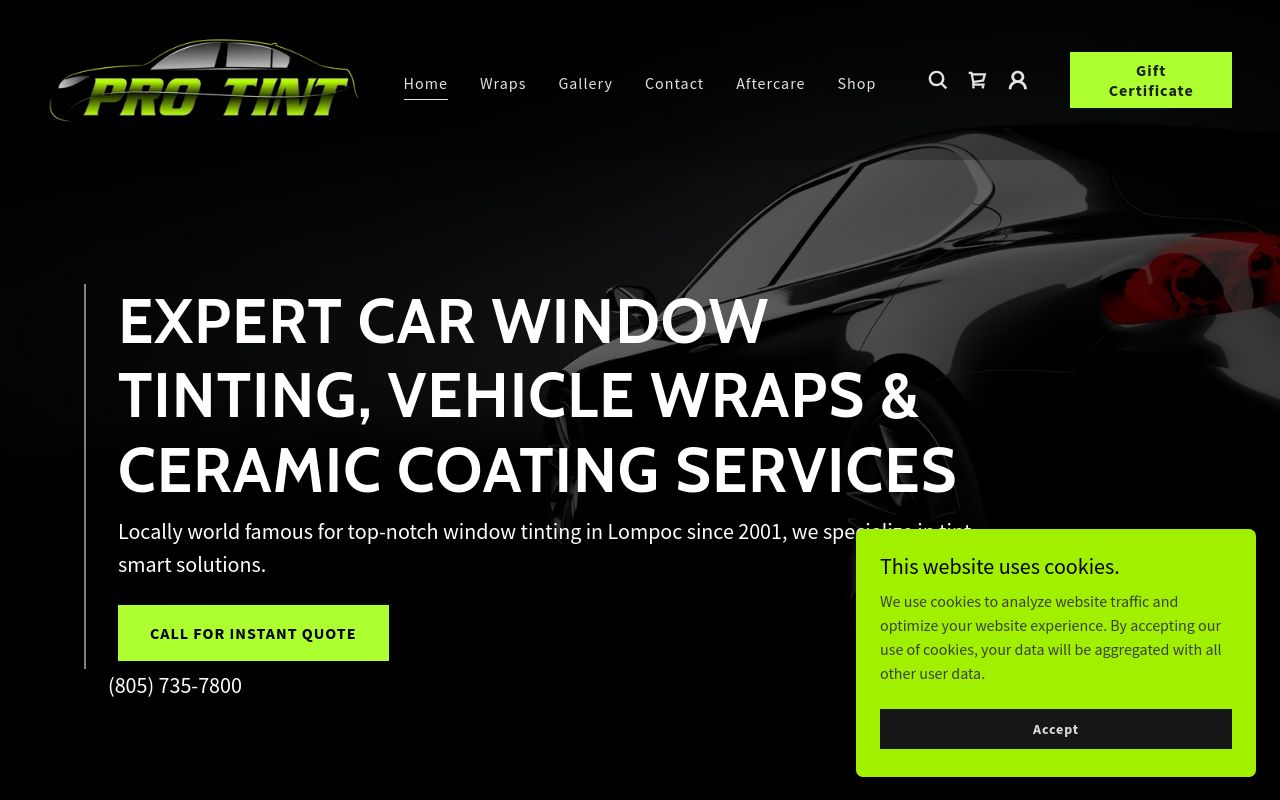 Homepage of Pro Tint's website