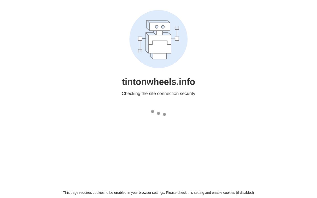 Homepage of Tint on Wheels's website