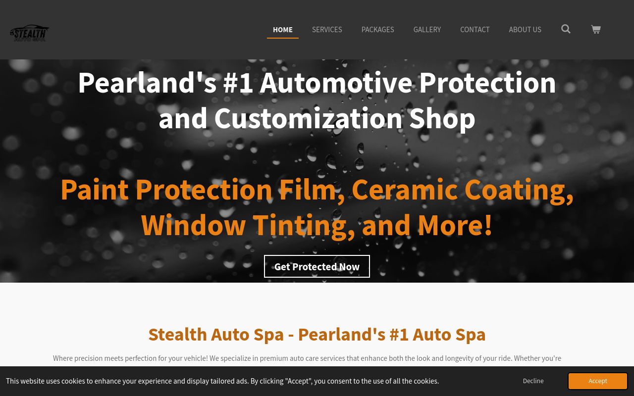 Homepage of Stealth Auto Spa's website