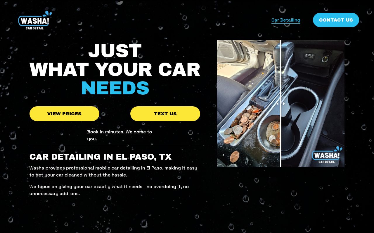 Homepage of WASHA! Mobile Detailing & Window Tinting's website