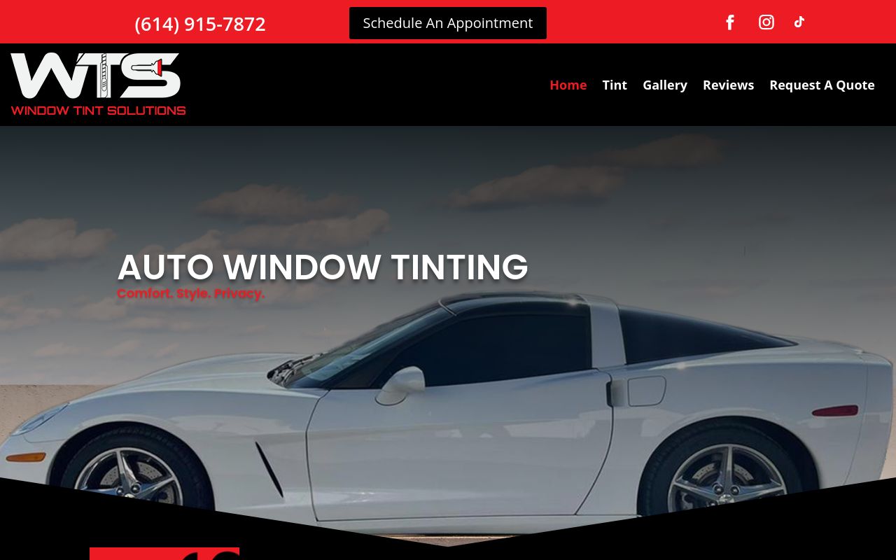 Homepage of Window Tint Solutions's website