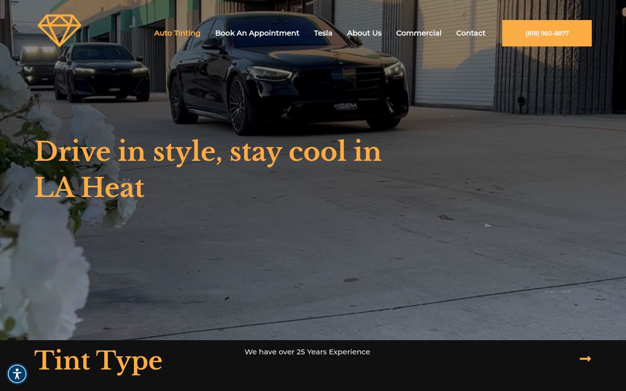 Homepage of TINT A GEM's website
