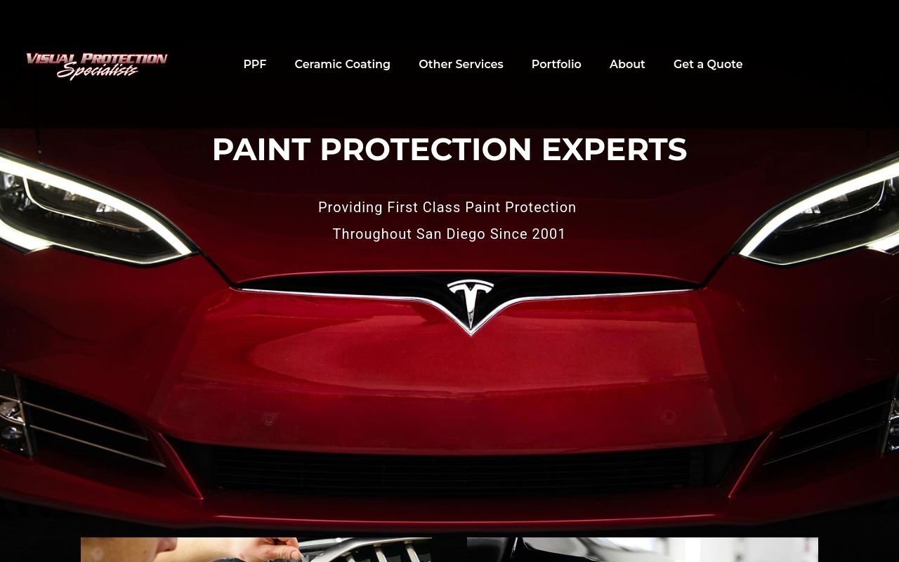 Homepage of Visual Protection Specialists's website