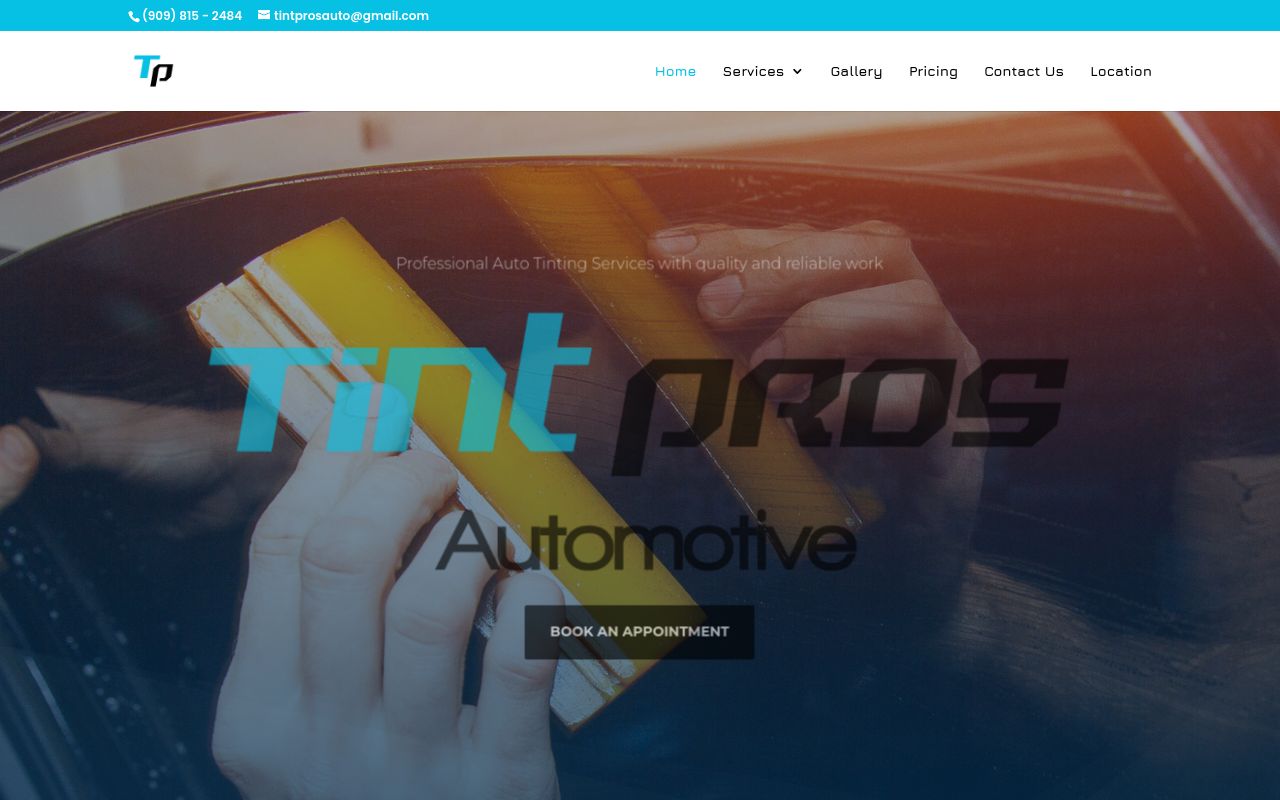 Homepage of Tint Pros Automotive's website