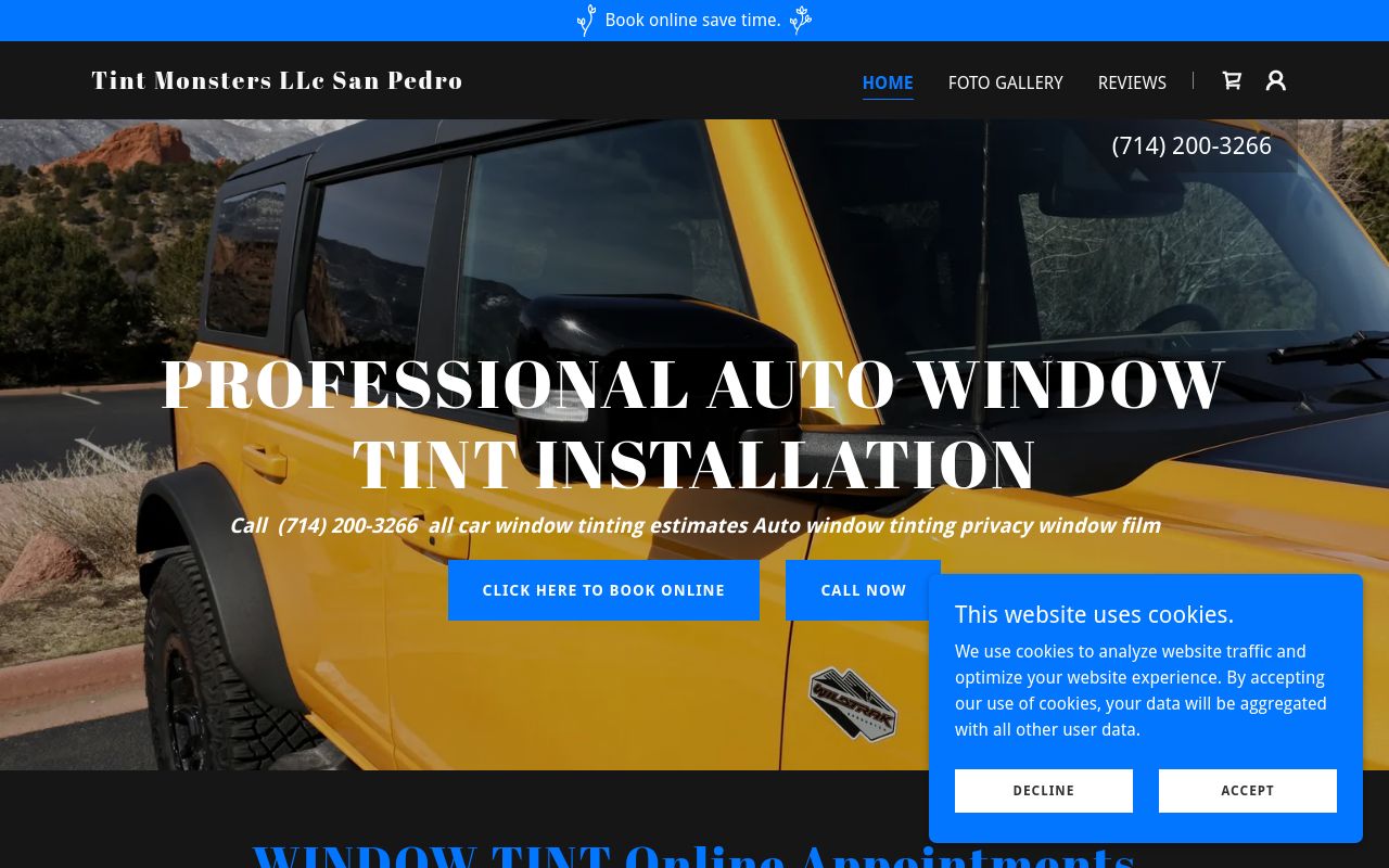 Homepage of Tint Monsters LLC.car, home & office window tint's website