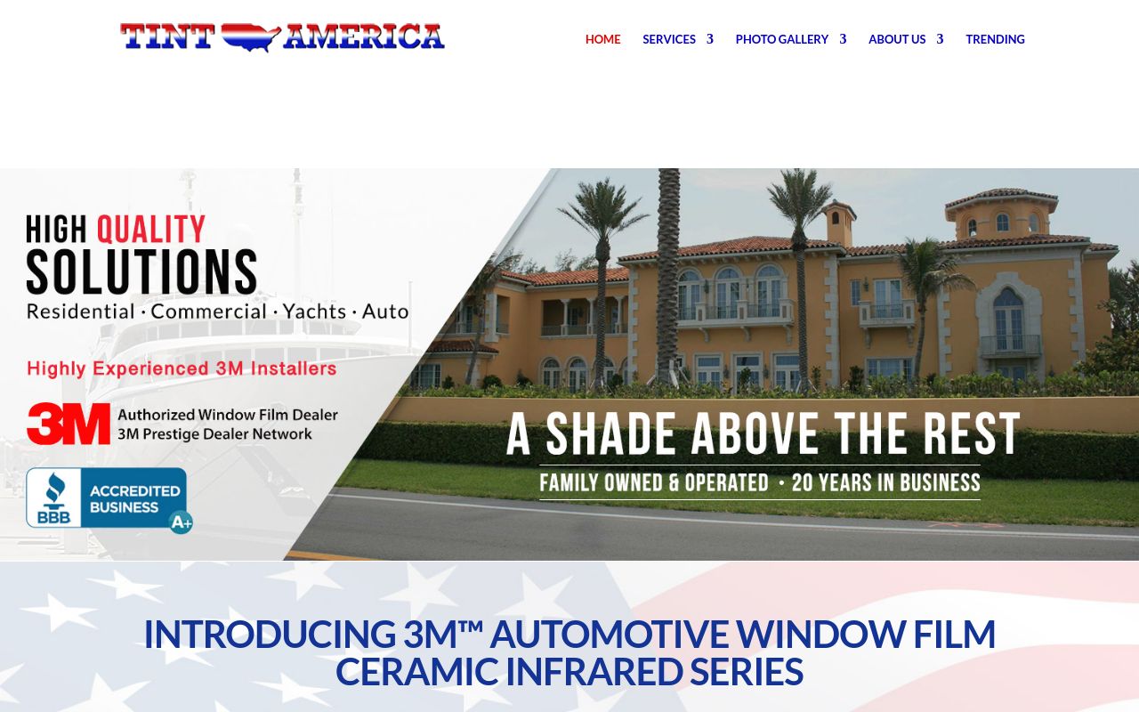 Homepage of Tint America's website