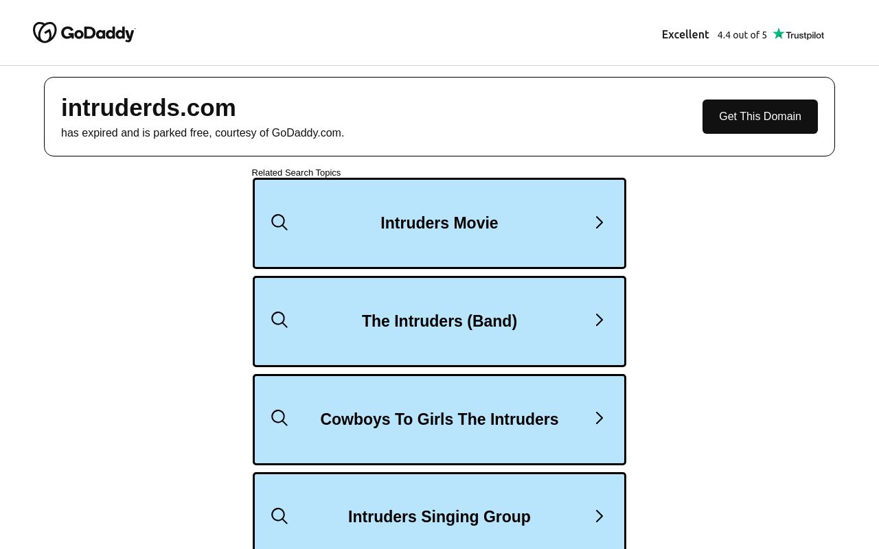 Homepage of Intruder Deterrent Solutions's website
