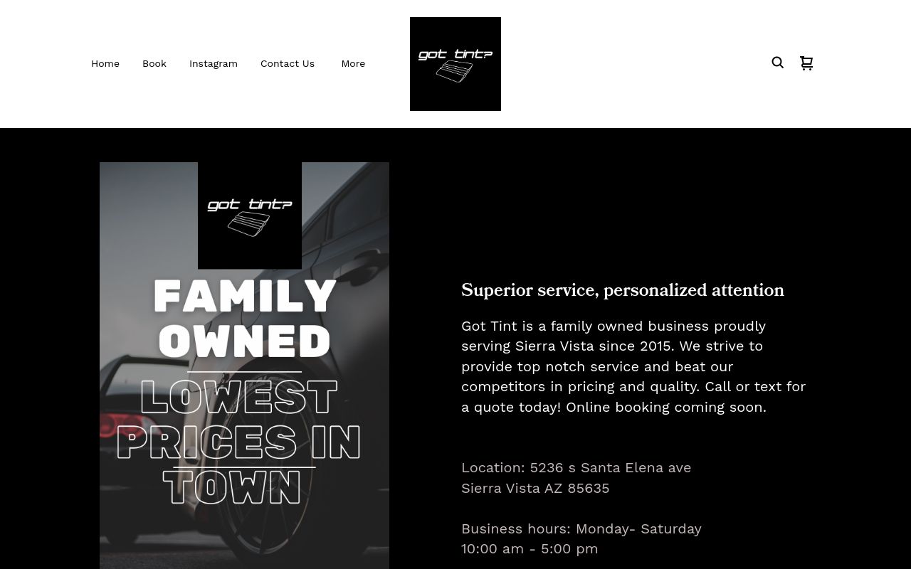 Homepage of Got Tint?'s website