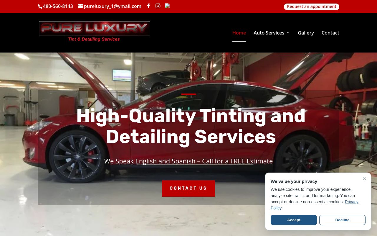 Homepage of Pure Luxury Tint and Detailing Services's website