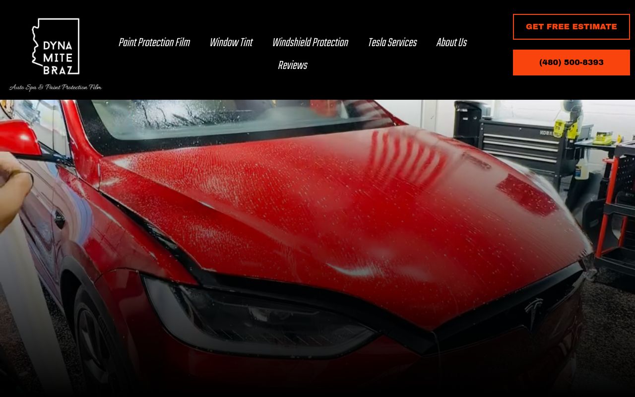 Homepage of Dynamite Braz PPF's website