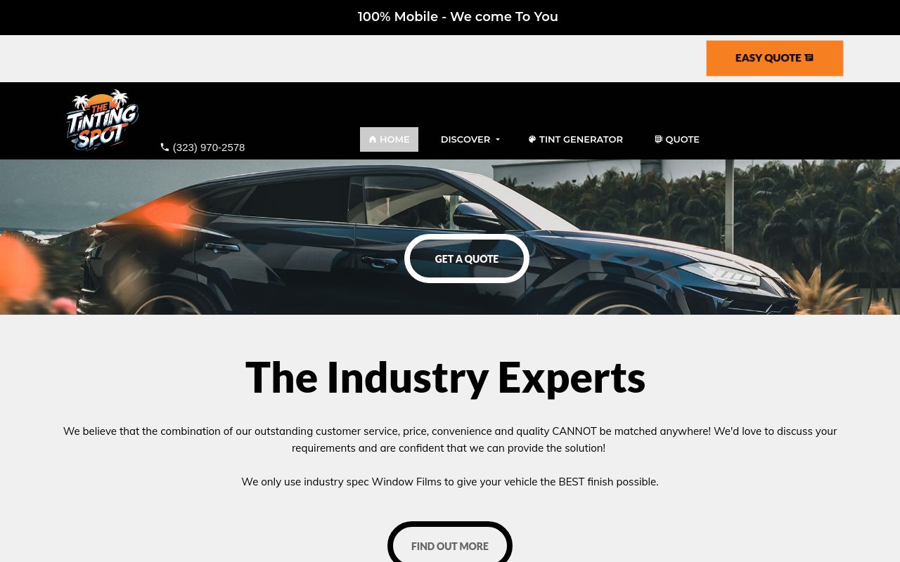 Homepage of The Tinting Spot's website