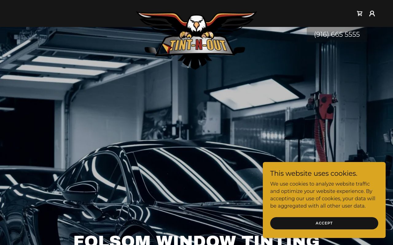 Homepage of Tint-N-Out's website