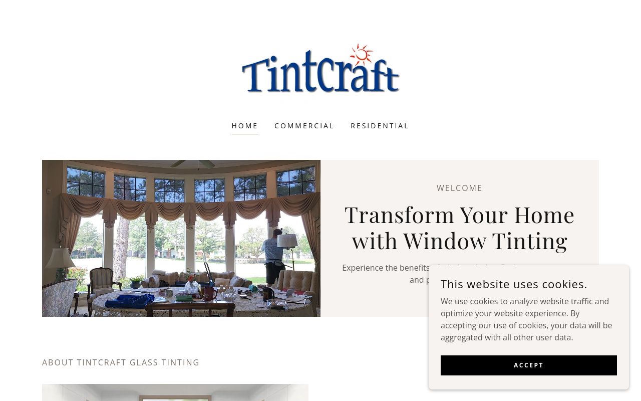 Homepage of Tintcraft's website