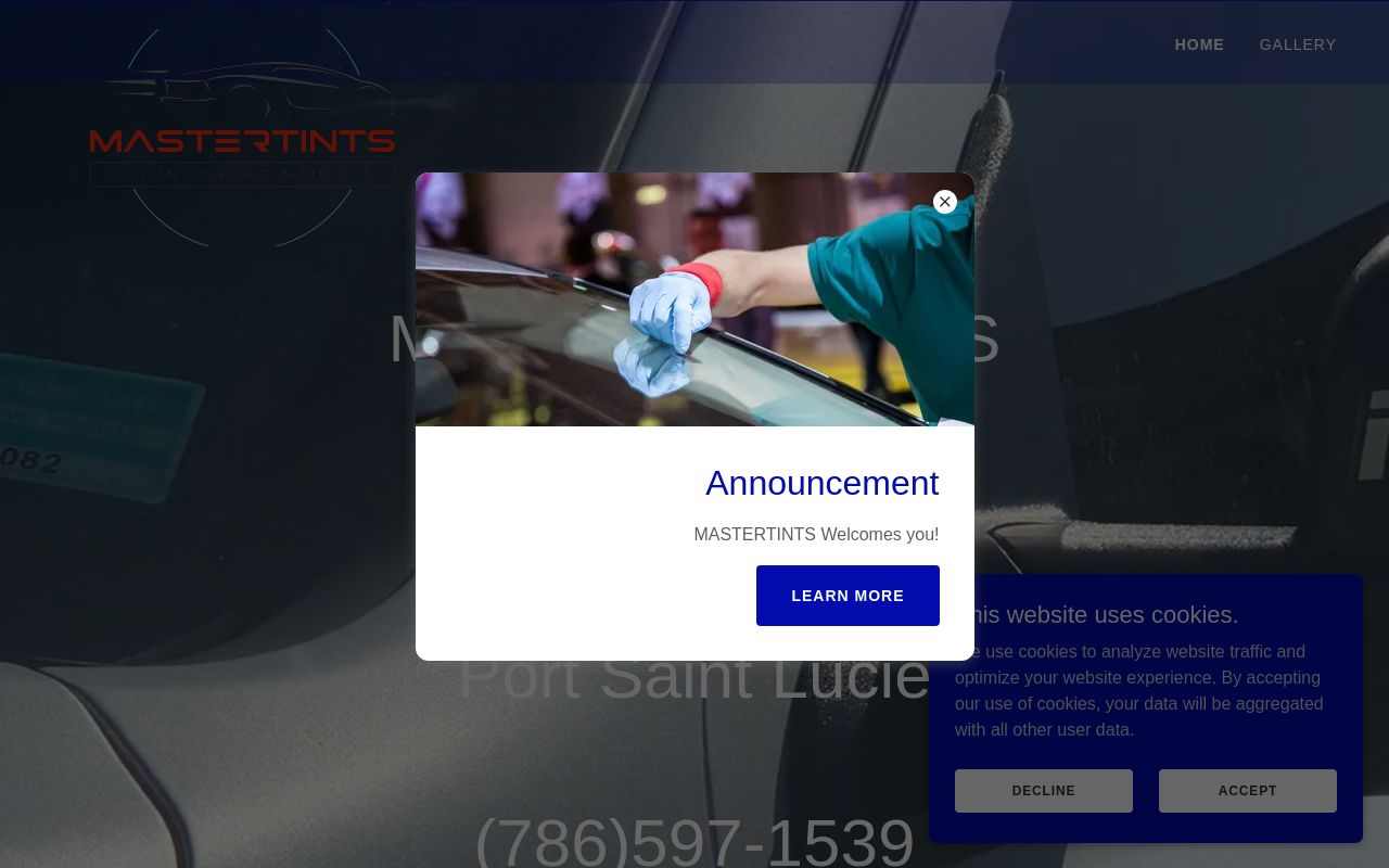 Homepage of Mastertints's website