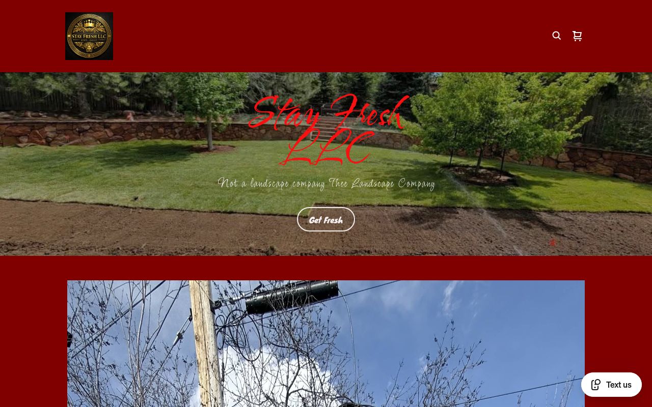 Homepage of Stay Fresh Detailing's website