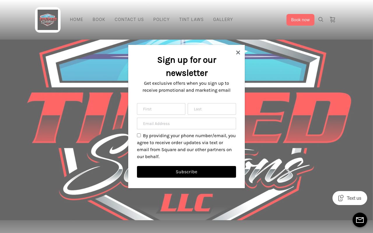 Homepage of Tinted Solutions LLC's website