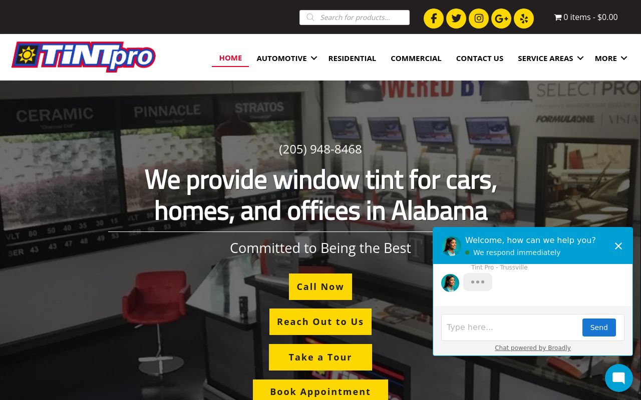Homepage of TintPro's website