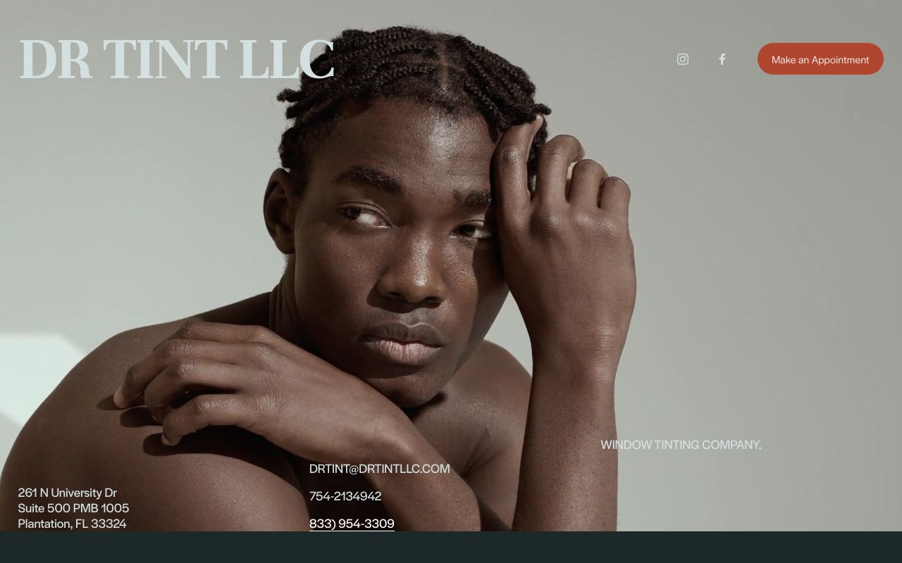 Homepage of Drtint llc's website