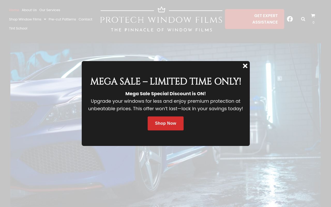 Homepage of Protech Window Flims's website
