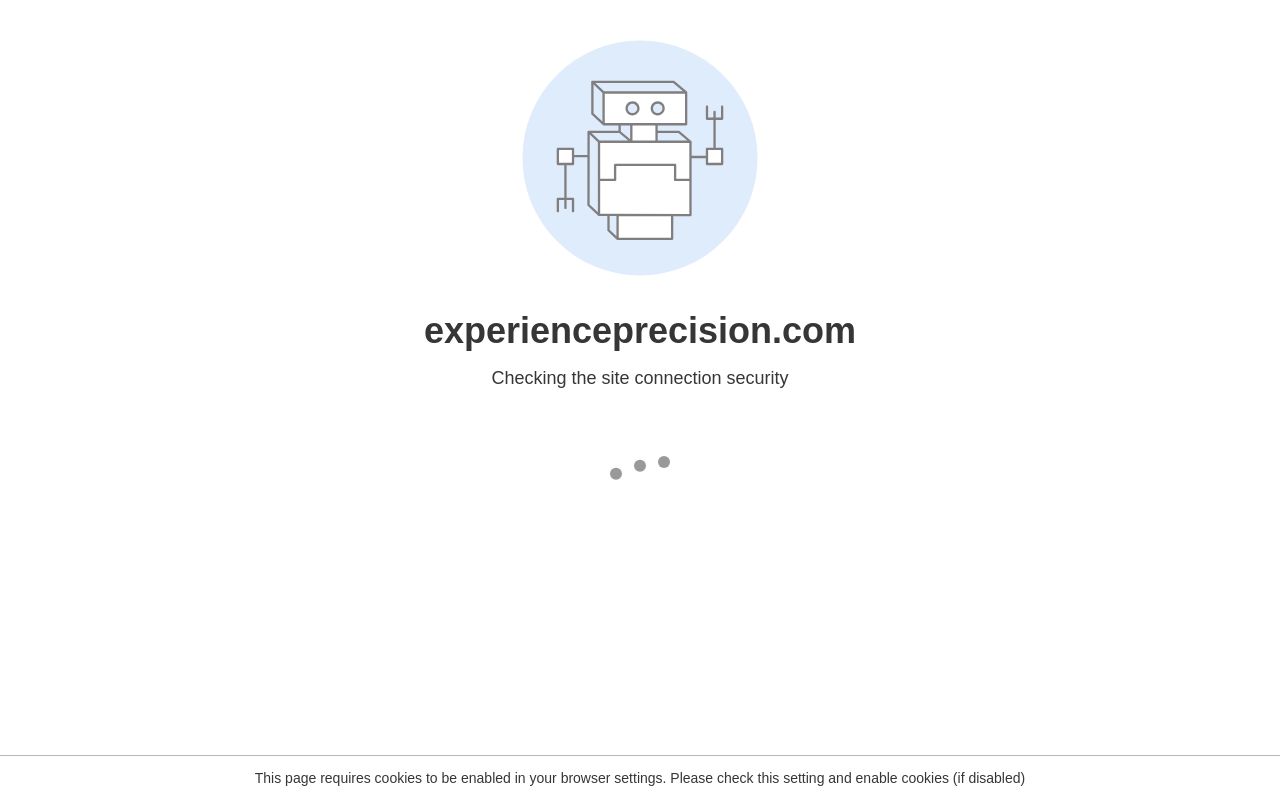 Homepage of Precision Window Tint & Wraps's website