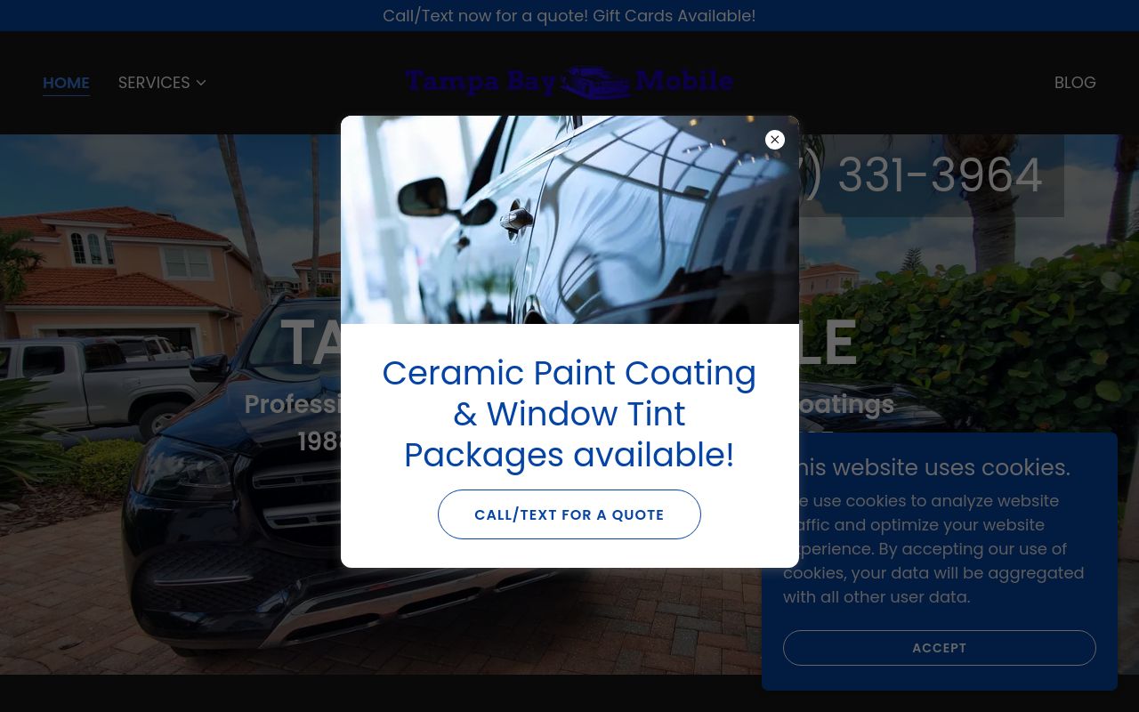 Homepage of Tampa Bay Mobile Detailing and Window Tinting's website