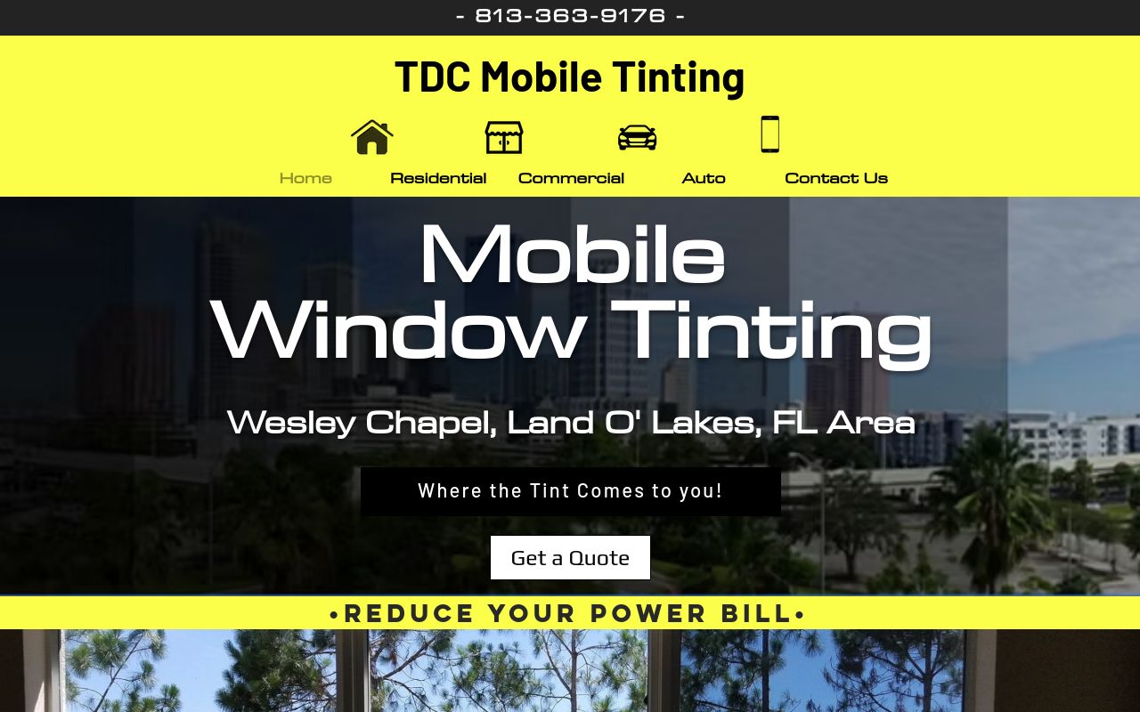 Homepage of Twisted dimensions customs's website