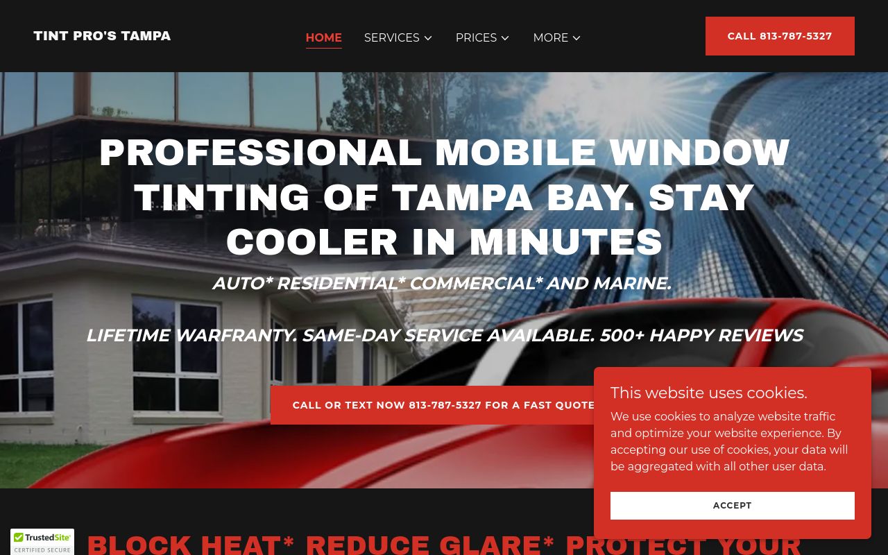 Homepage of Tint Pros Tampa's website